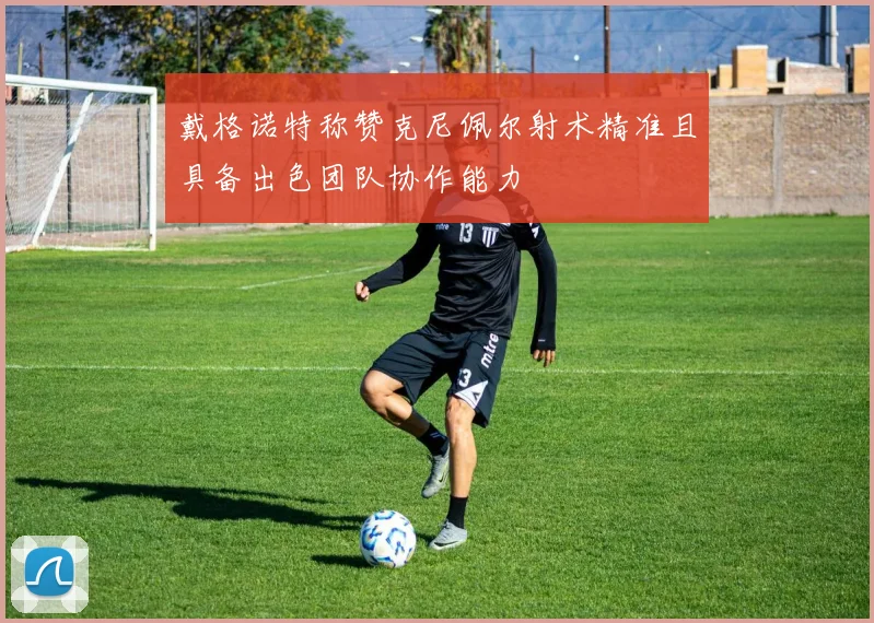 戴格诺特称赞克尼佩尔射术精准且具备出色团队协作能力